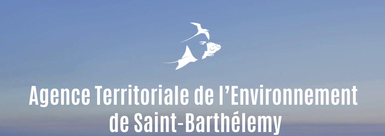 Saint Barth Fondation endorsement of our non profit